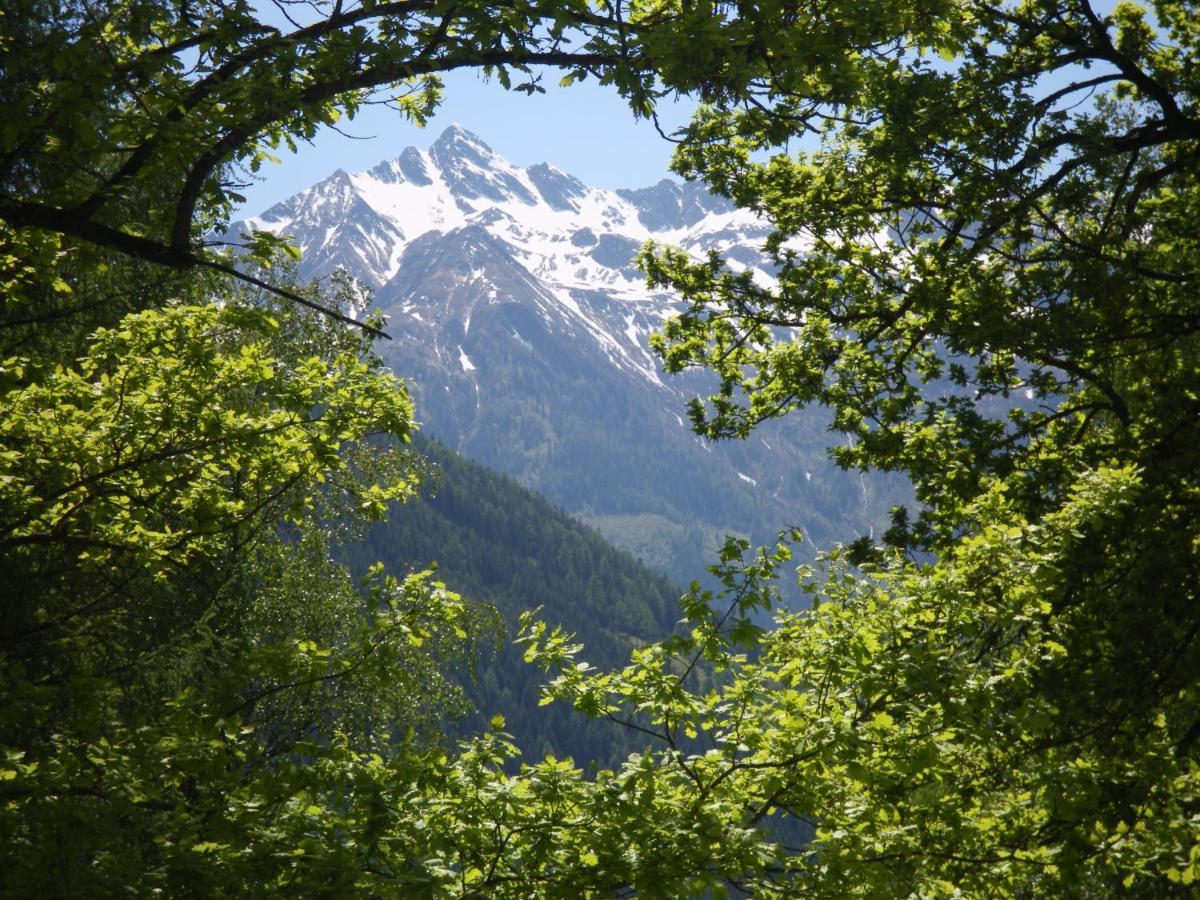 Appart Burgwies Ink Nationalpark Sommercard Stuhlfelden エクステリア 写真