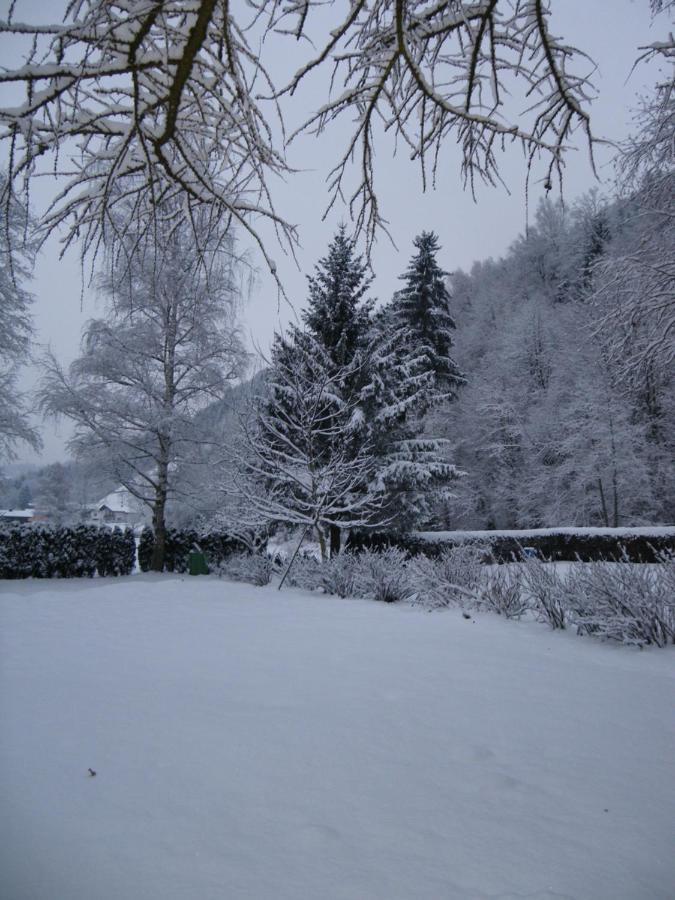 Appart Burgwies Ink Nationalpark Sommercard Stuhlfelden エクステリア 写真